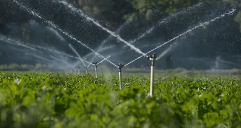 Inground Irrigation Service in Honolulu, HI