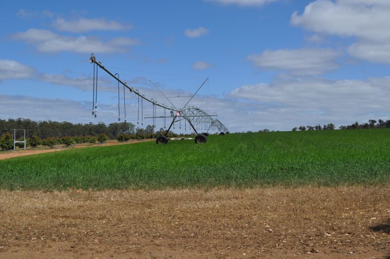 Irrigation Service in Aiken, SC