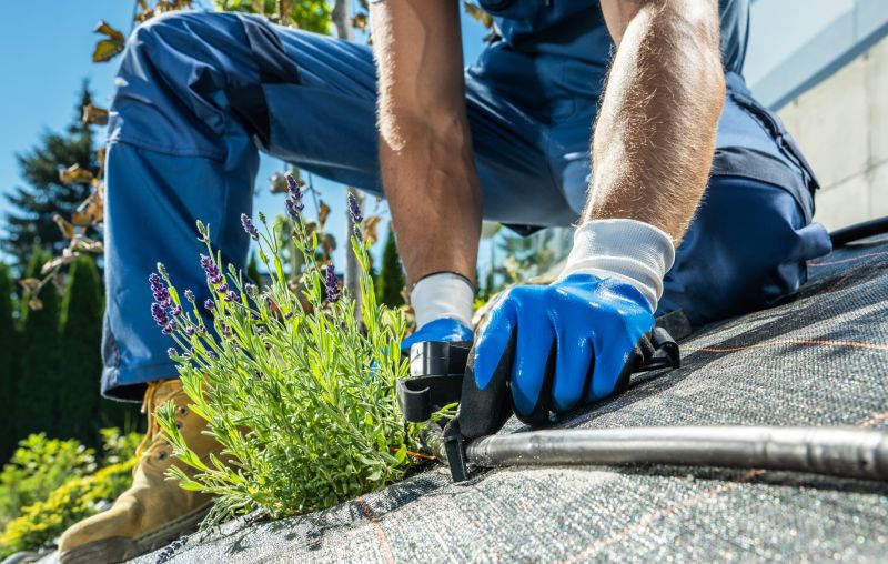 Yard Irrigation Installation in Honolulu, HI
